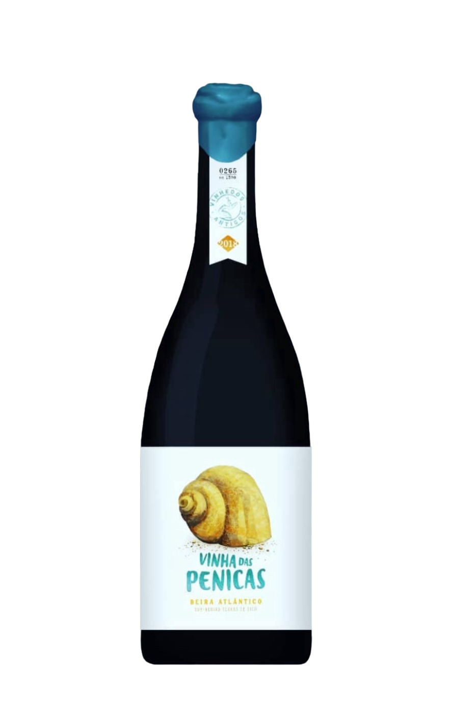 Bottle of Vinha das Penicas Tinto, an old-vine red from Terras de Sicó